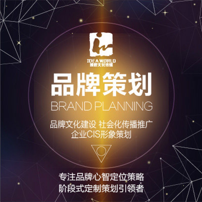 品牌策划在现代营销中的重要性探索